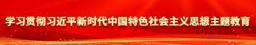 黄色操逼逼网站学习贯彻习近平新时代中国特色社会主义思想主题教育